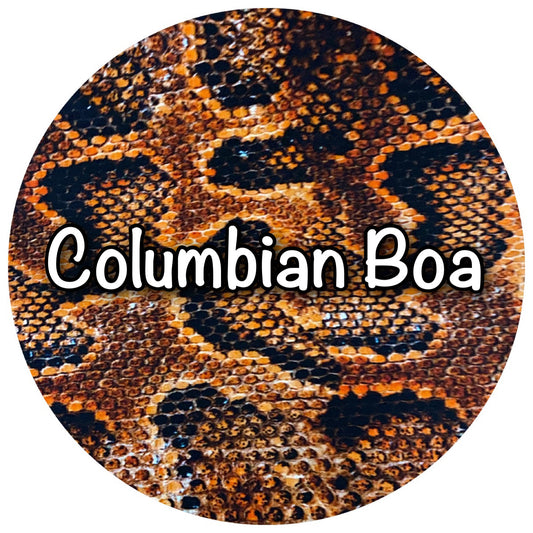 Columbian Boa